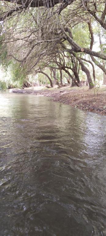 Cabaña y camping, río huaqui - 3