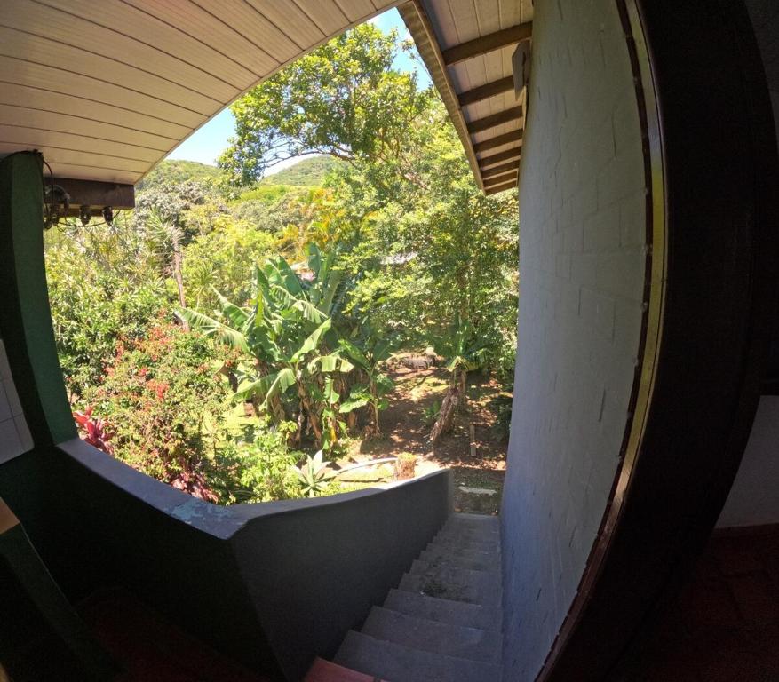 Ảnh 5