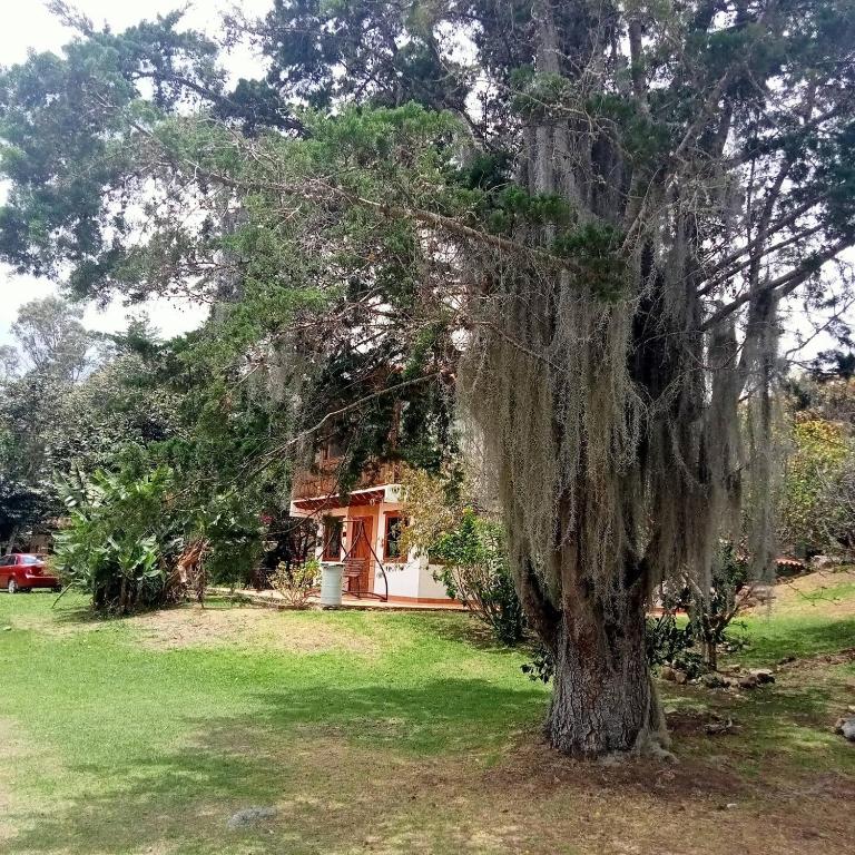 Casa entre montañas y jardines-Estancia Nirvana - 5