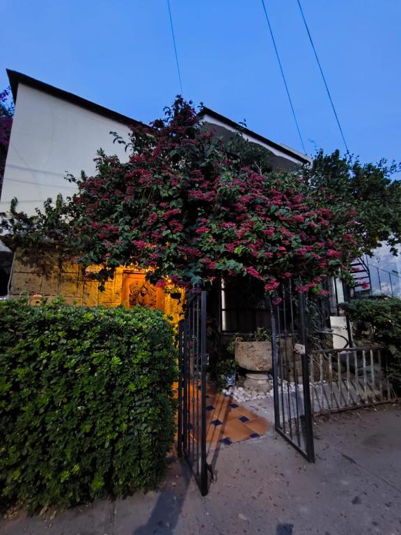Departamento en Country Club - 1