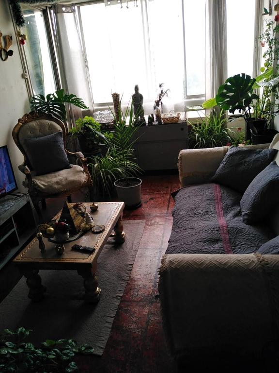 Habitación 1 persona - 4
