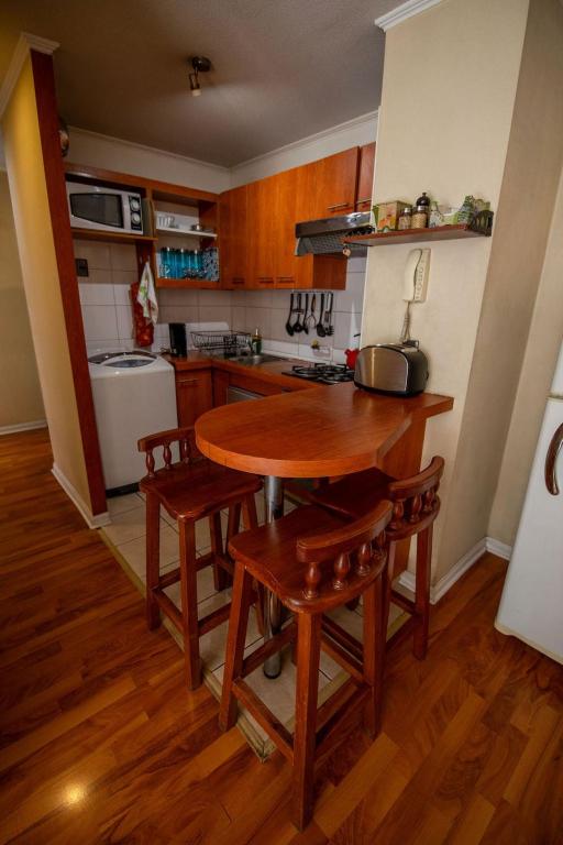Central and comfortable apartment in downtown Santiago - 4