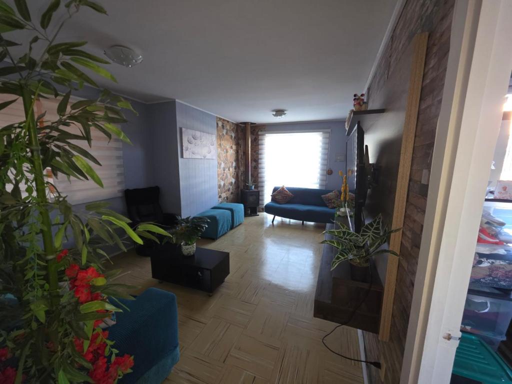 Casa Flor del aire - 2