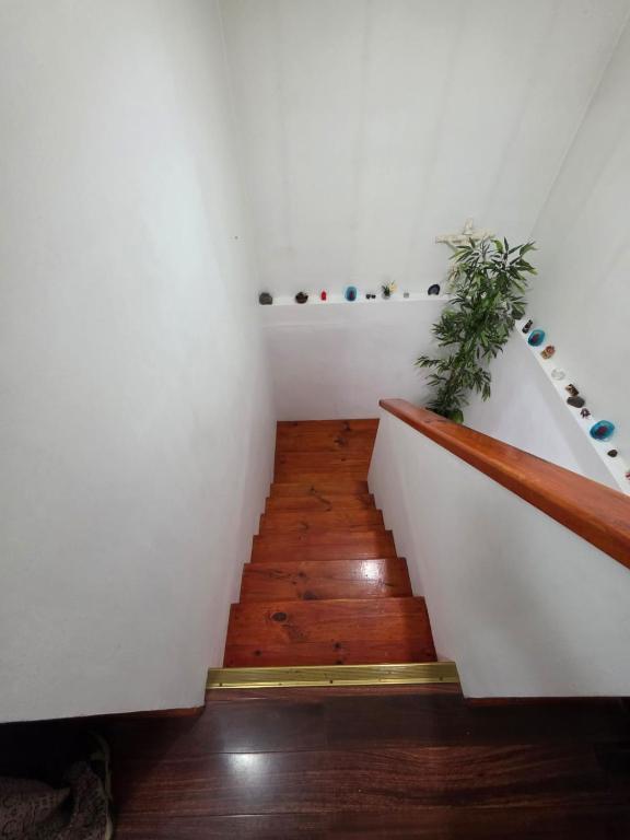 Casa Flor del aire - 5