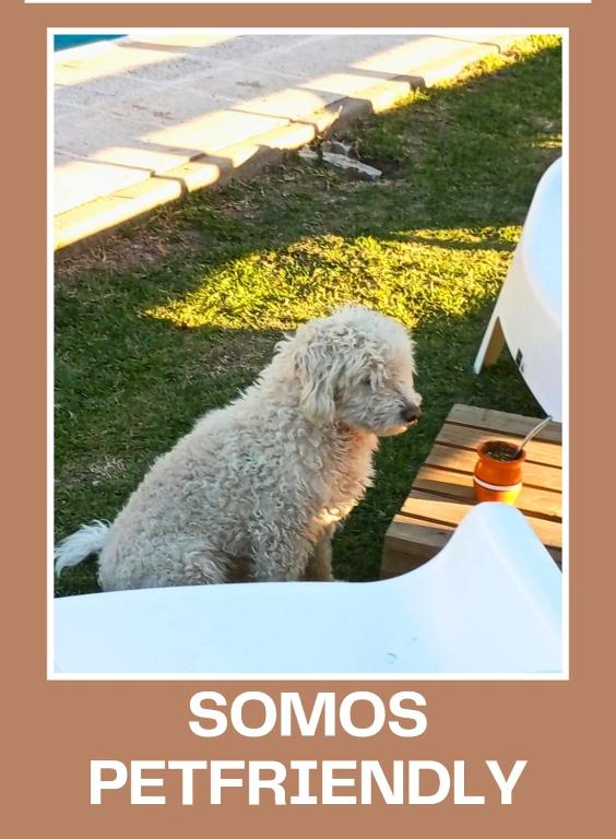 Cabañas Del Alto - 4