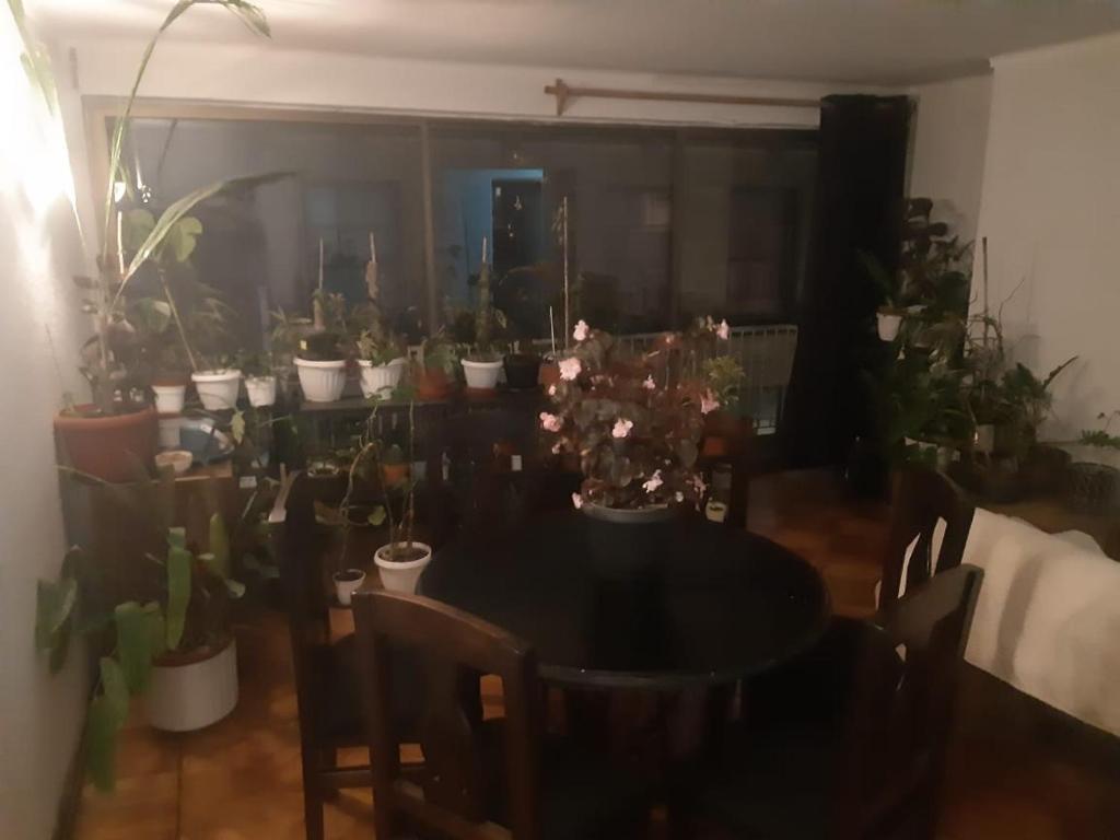 Departamento Centro - 5