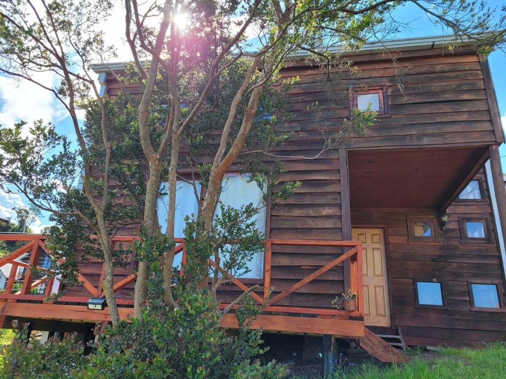 Bosquemar Loft Dalcahue - 5