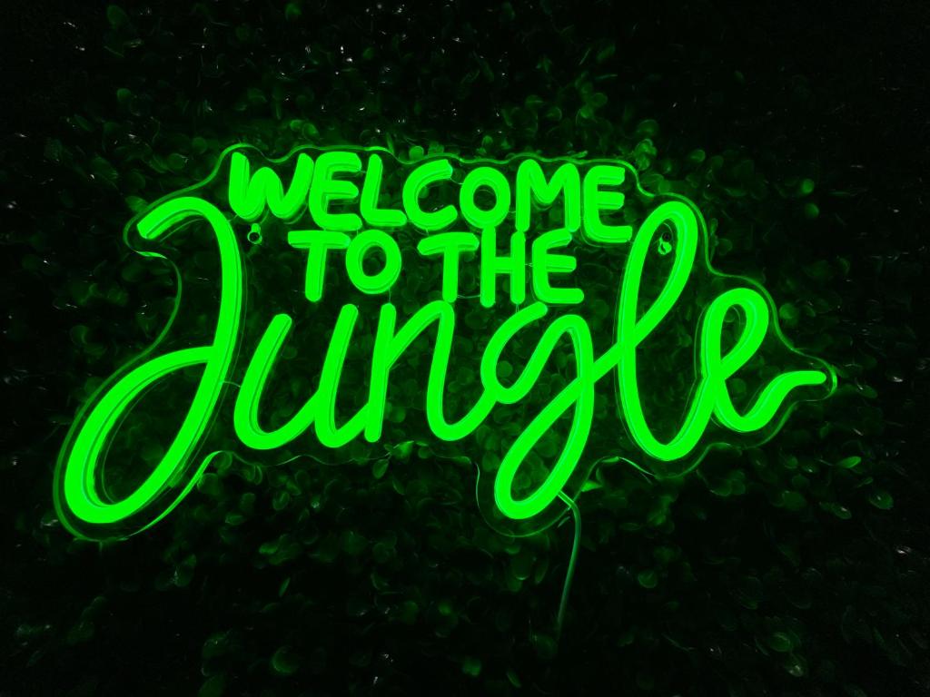 Ciné Jungle Projecteur 4K cœur de Lyon 6 - 2