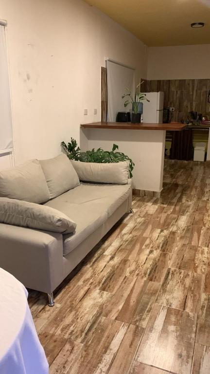 casa vertientes - 4