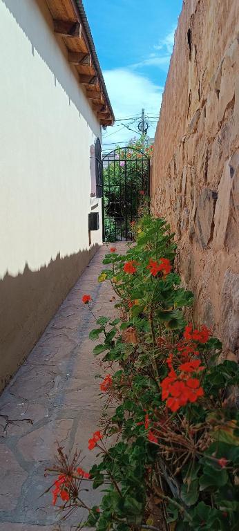 La Casa de Arriba - 5