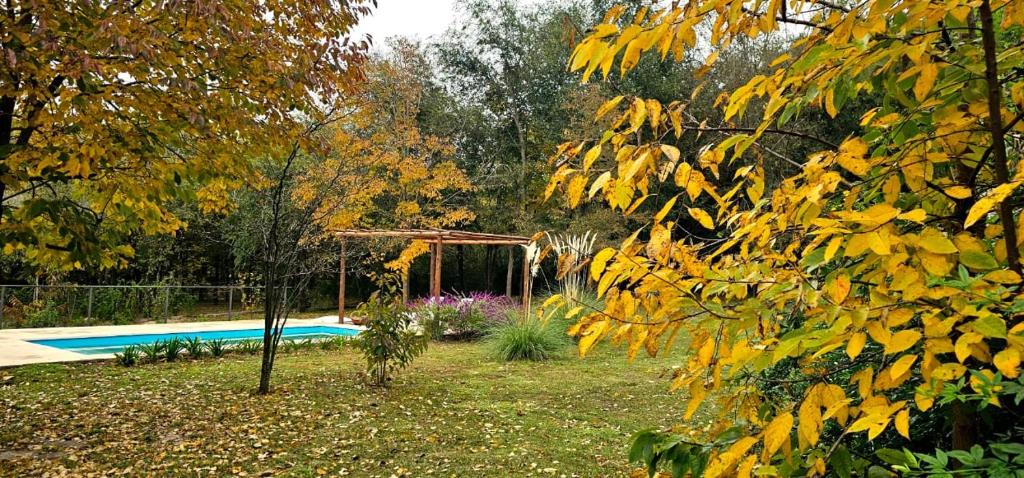 Casa de Campo El Racó del Peñón - Premium - - 2