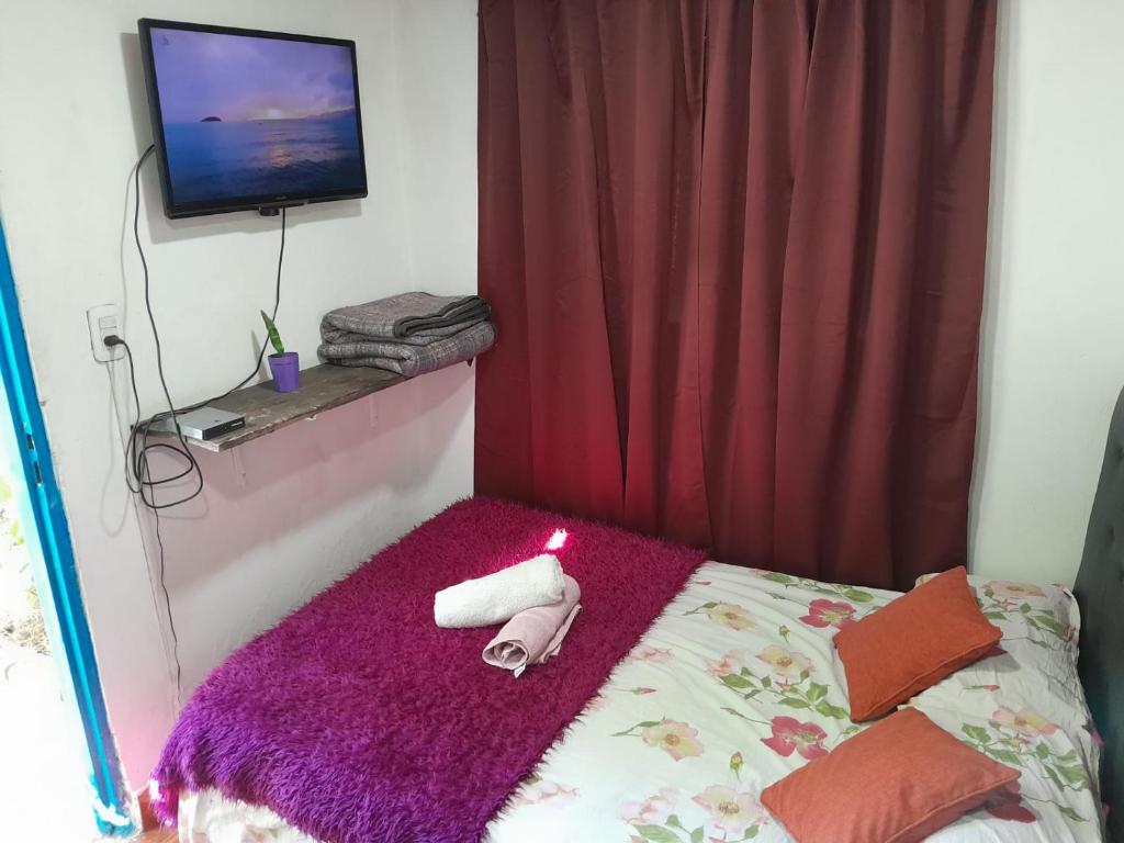 Alojamiento Piecita bajo el Ciruelo - 4