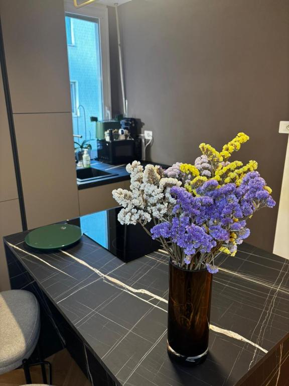 Casa Vittoria - 4
