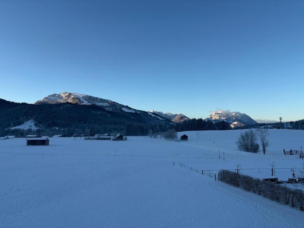 Ferienwohnung Alpenpanorama - 2