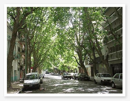 Gurruchaga Palermo Soho photo