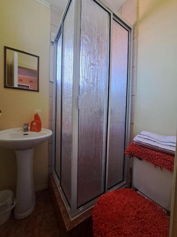 Arriendo Cabaña Por Dia! - 4