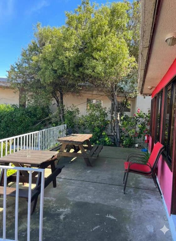 Canañas Reñaca Dunar - 4