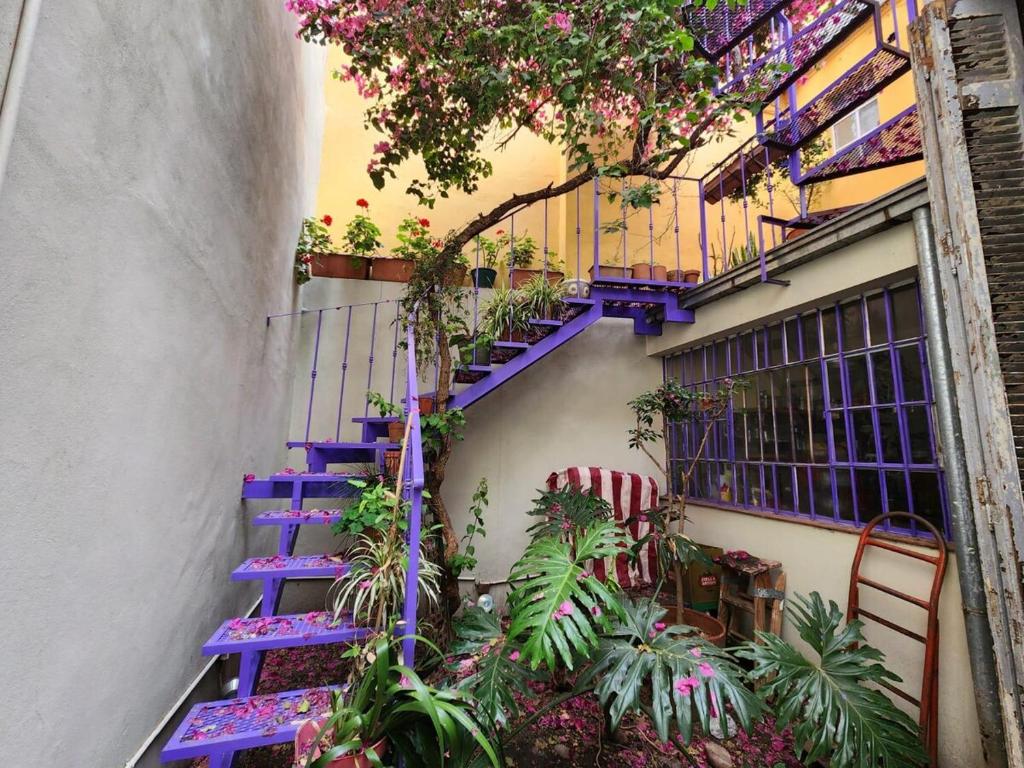 Spacious Recycled House in Palermo Viejo - 2