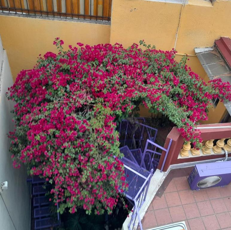 Spacious Recycled House in Palermo Viejo - 5