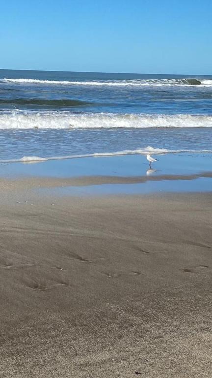 Hotel Boutique Arenarena - 3