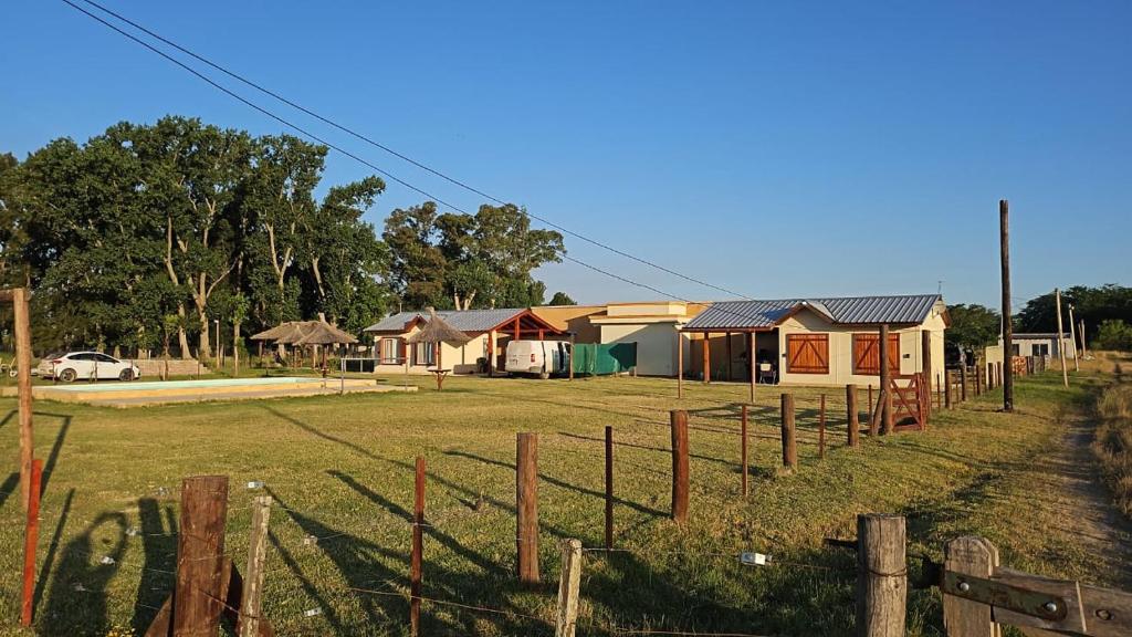 Las Nietas de Domselaar l - 2