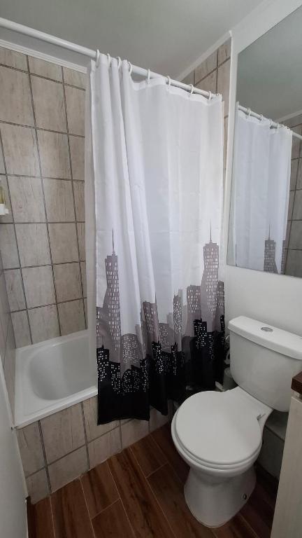 Cómodo departamento en Pucón - 5