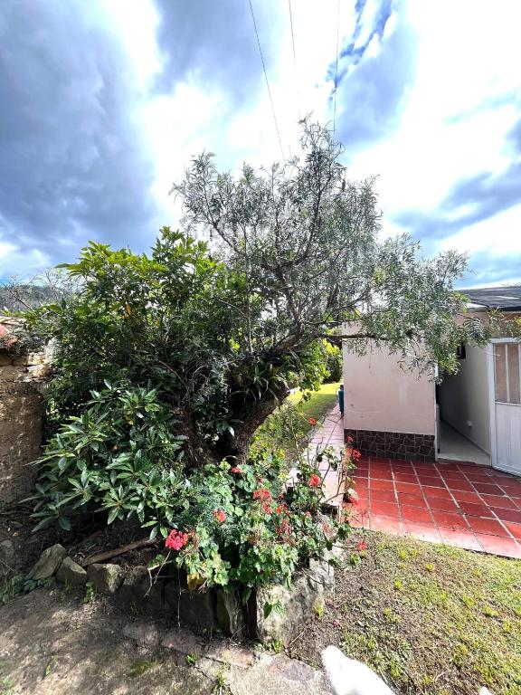 Cozy Country House in Boyacá - 4