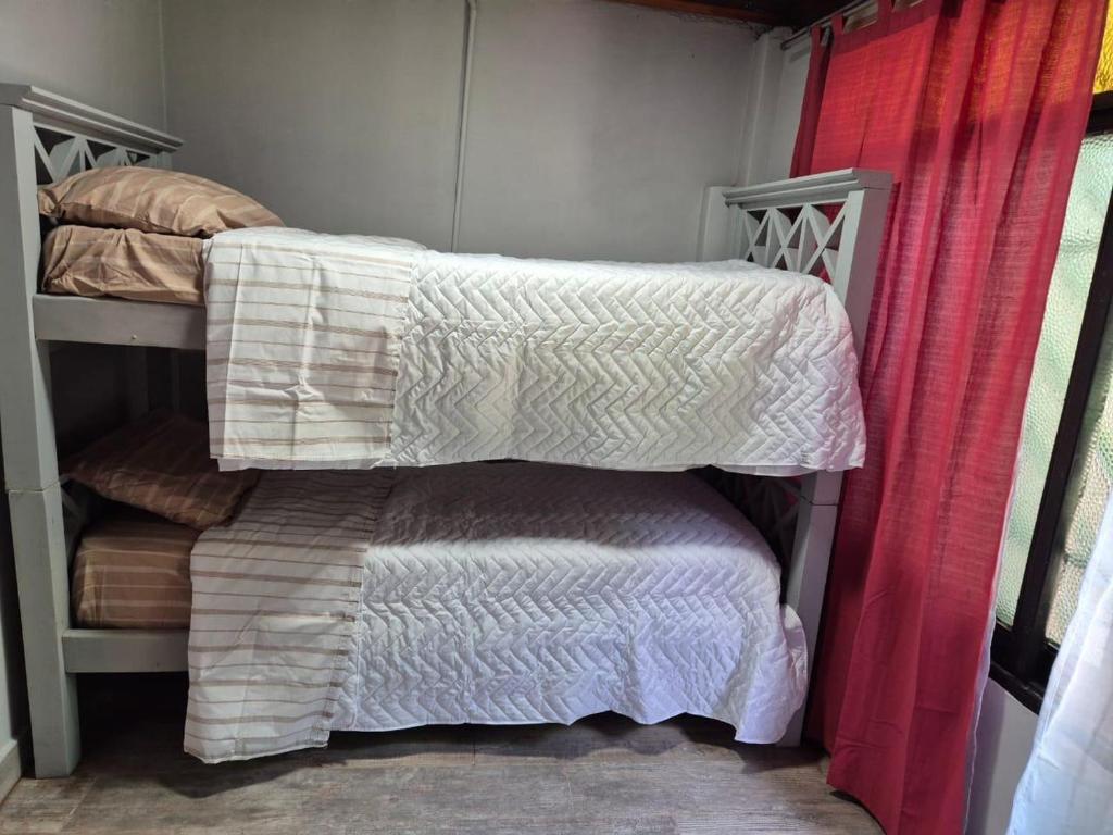 Casa Maipu - 4