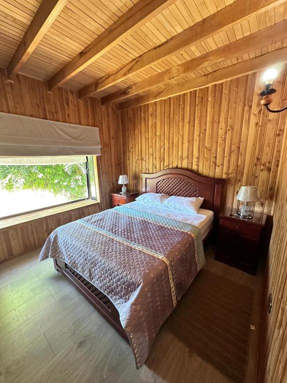 Casa Lican-Ray - 3