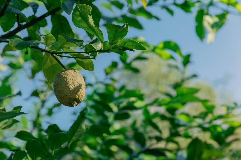 Surrounding environment