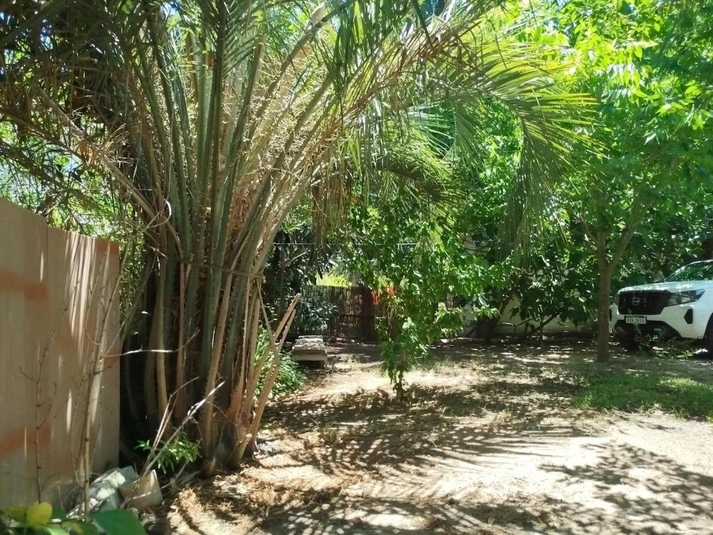 La Pasiflora 300 meters from the beach - 2