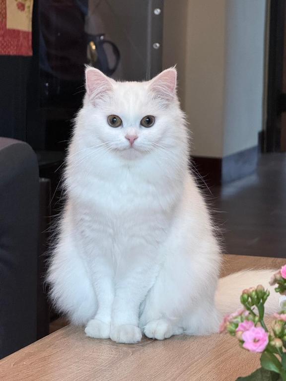 池上投優榻 Smart living B&B 호텔 이미지 2