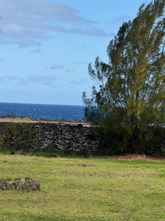 Vaihu Nui - 2
