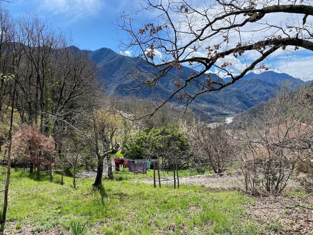 Le Soleil de Flaut Beautiful studio house Nature - 2