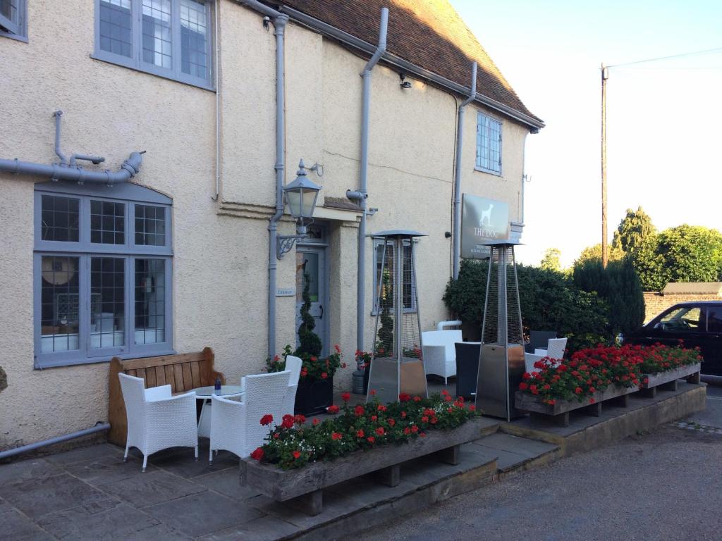 The Dog at Wingham photo