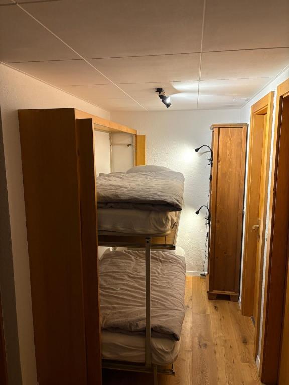 appartement Veysonnaz, Valais, ski, mountain biking, raquettes, balades - 5