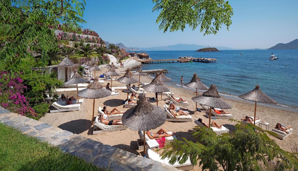 Spiaggia