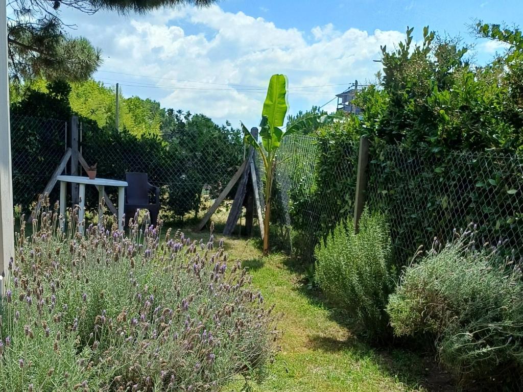 OstendeZen - 2