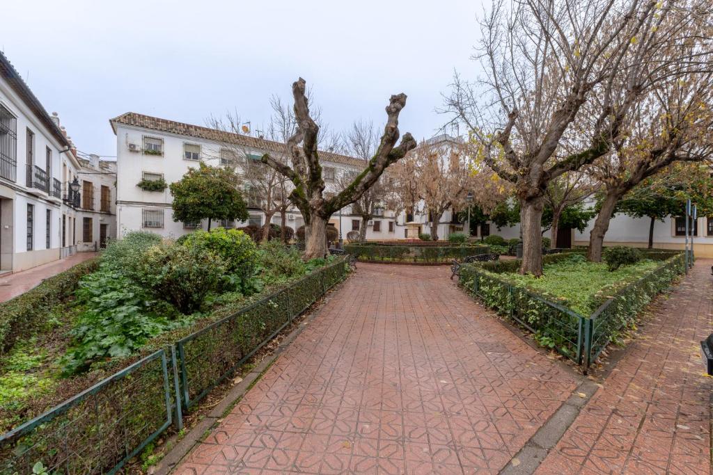 Apartamento Gonzalez - 4