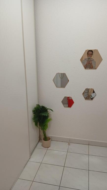 Appartement entier 2 chambres au coeur d'Avignon - 3