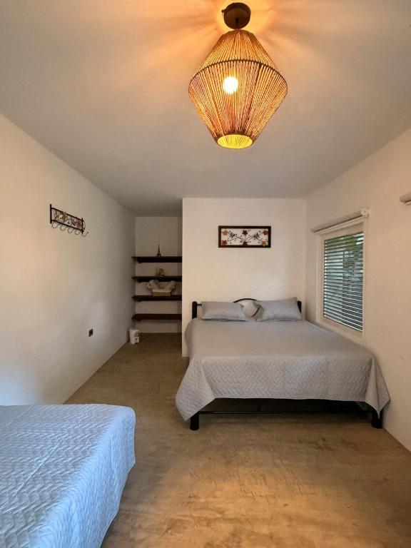 El refugio del Alba - 3