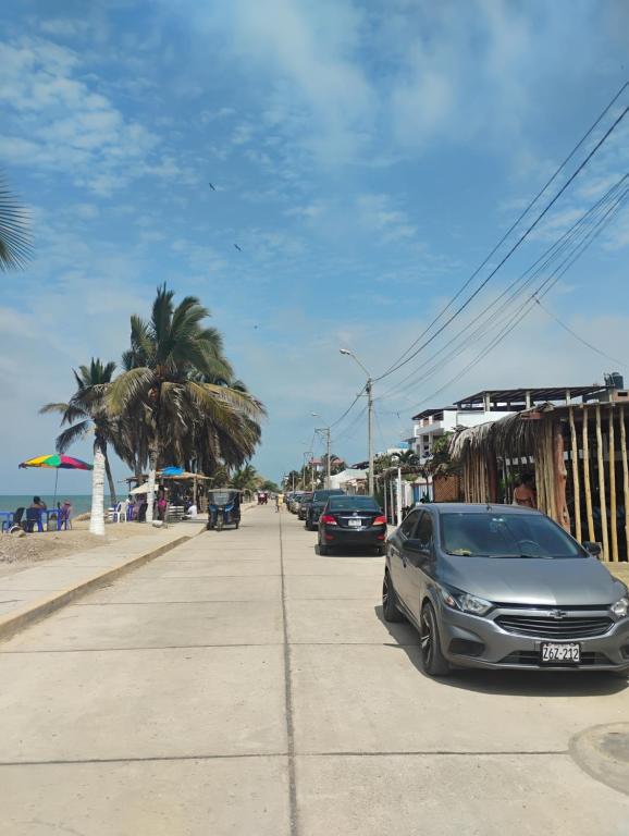 Vista Palmeras Zorritos - 3