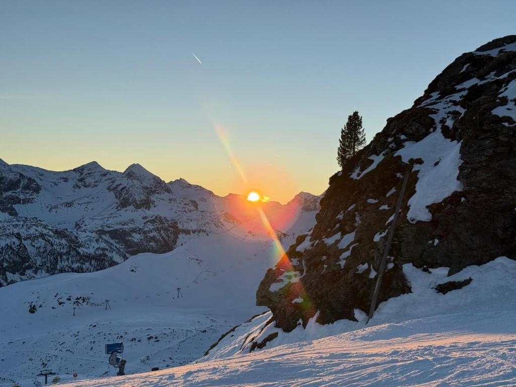 Alpenblick - klein, aber fein - 3