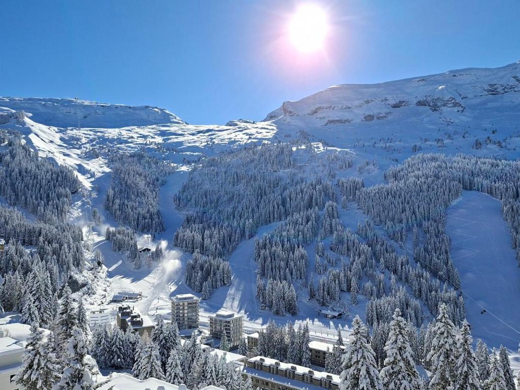 Studio lumineux avec balcon et casier à ski proche des pistes - FR-1-425-185 - 3