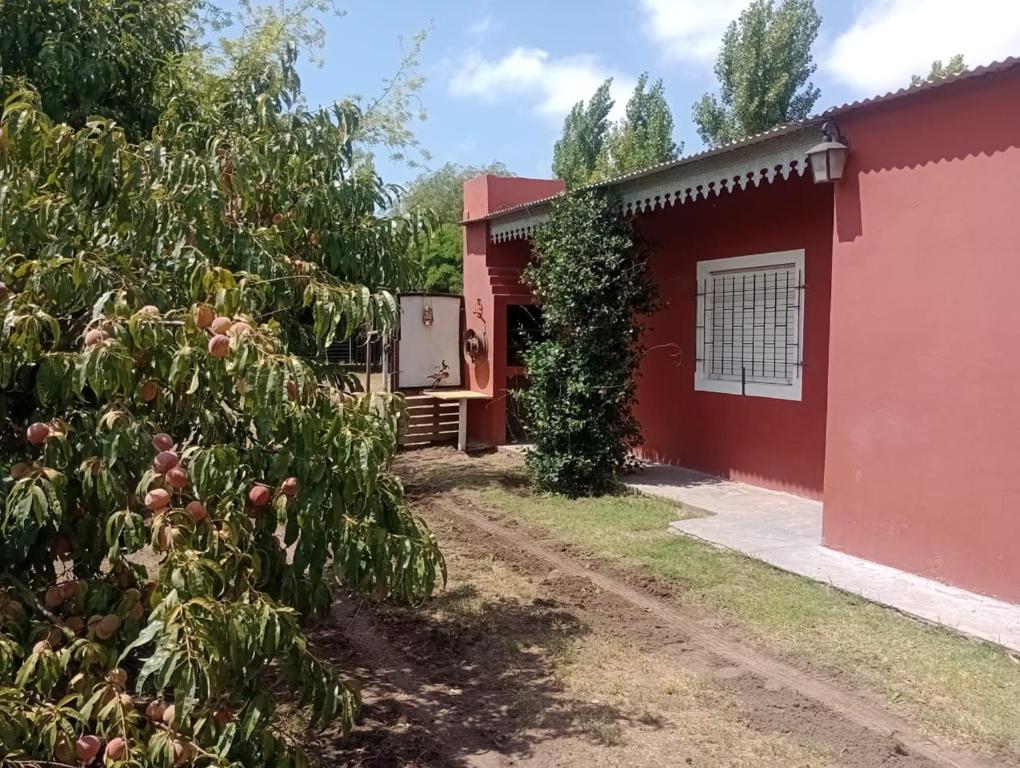 En Santa Rosa - 4