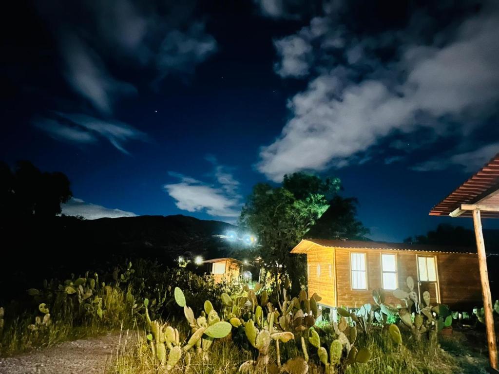 Glamping Entre Nopales - Naturaleza y descanso cerca a Villa de Leyva, mascotas bienvenidas - 3