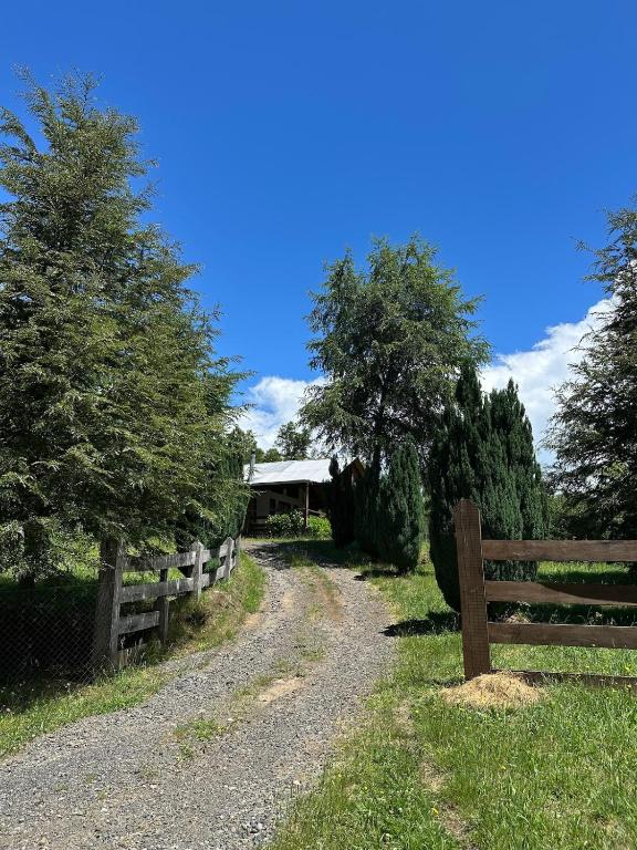 Casa Pichares Pucon - 5