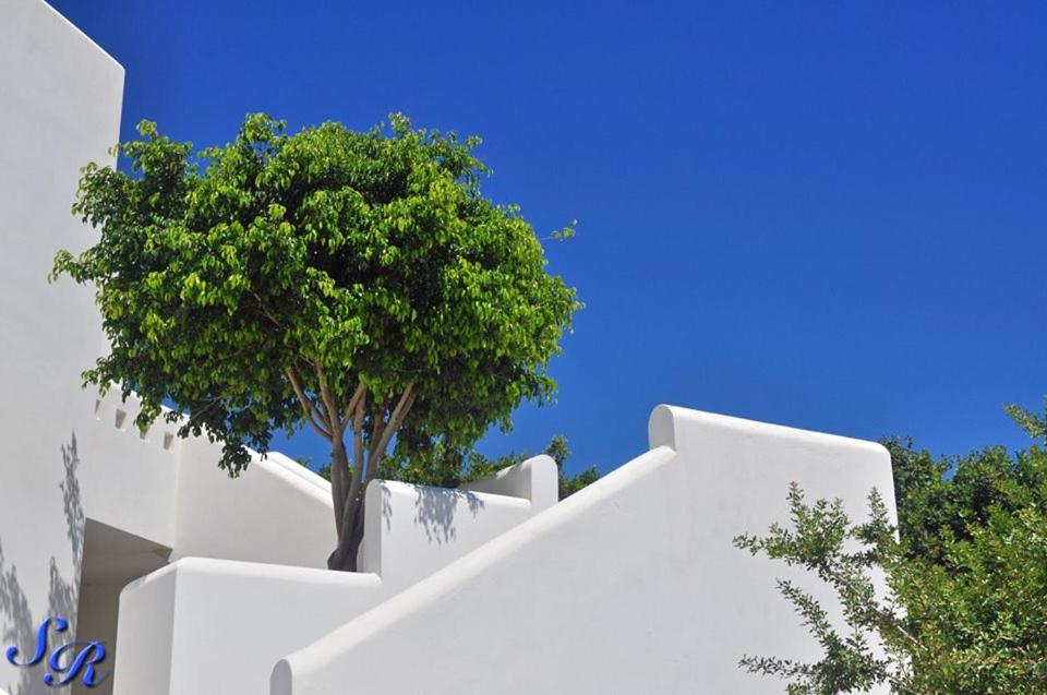 Sarakiniko Rooms photo