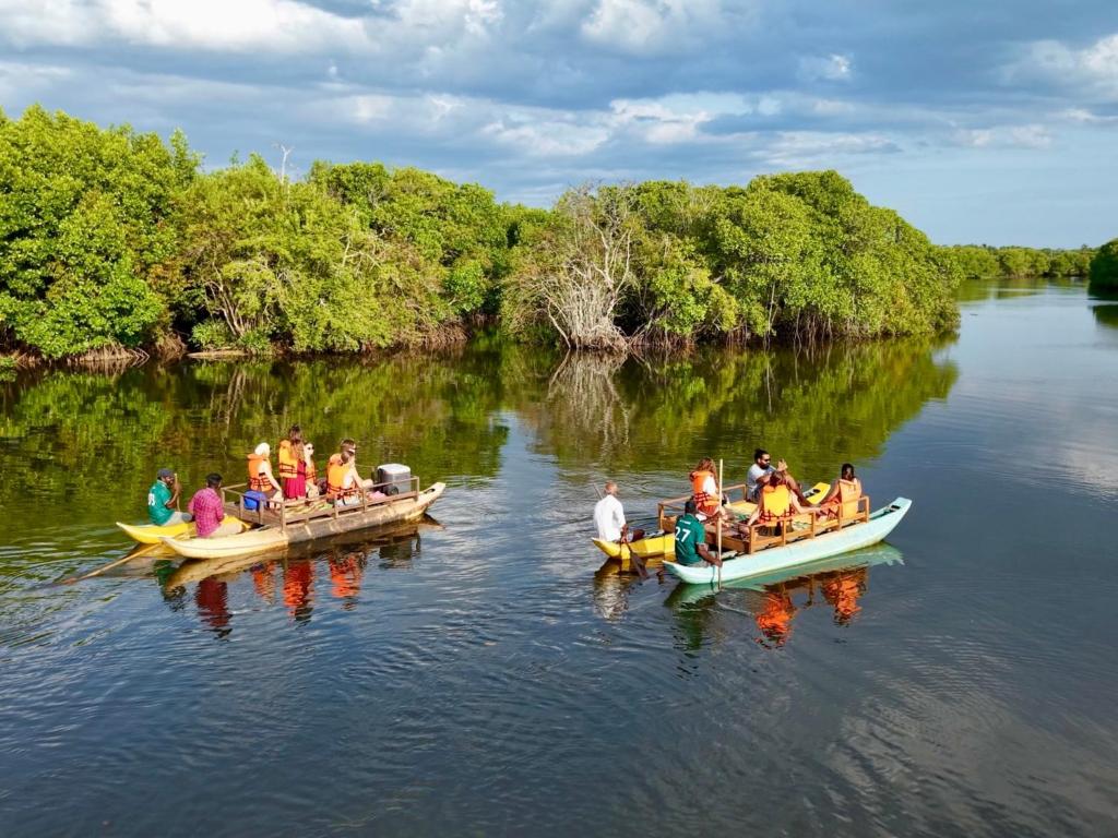 Surrounding environment