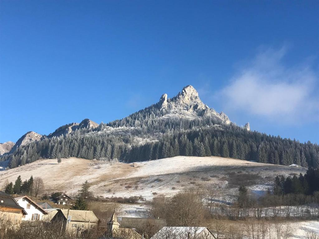 Bernex(74) Appartement 4 personnes dans chalet vue imprenable - 2
